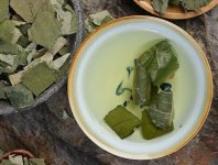 荷葉茶為什么叫短命茶？